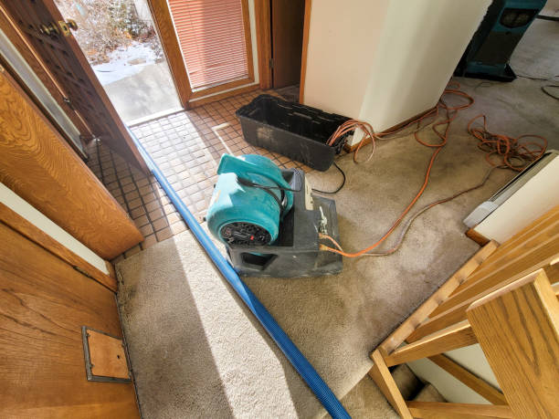 Best Water damage restoration mold remediation  in Sewanee, TN