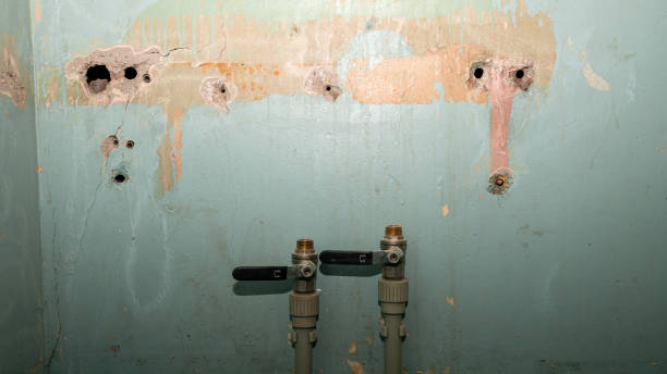 Trusted Sewanee, TN Water damage restoration Experts