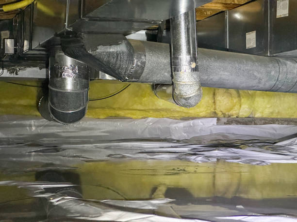 Best Local water damage restoration  in Sewanee, TN