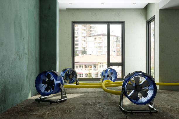 Best Water damage restoration near me  in Sewanee, TN