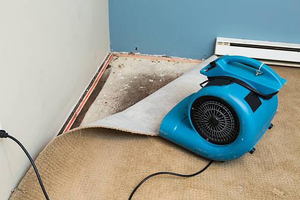 Best Ceiling water damage repair  in Sewanee, TN